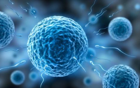 卵泡發育不良有什么危害 卵泡發育不良怎么辦