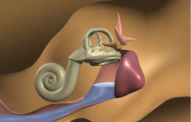 兒童感冒會引起中耳炎嗎 引起兒童中耳炎的原因有哪些