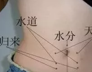 艾灸能助孕是真的嗎 艾灸助孕部位圖示