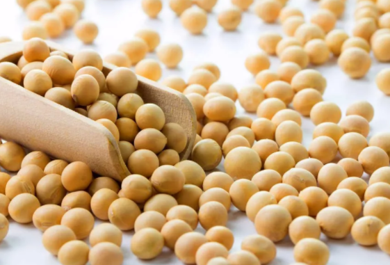 大寒吃什么食物好 2019大寒節氣食物推薦 大寒吃什么食物好 2019大寒節氣食物推薦