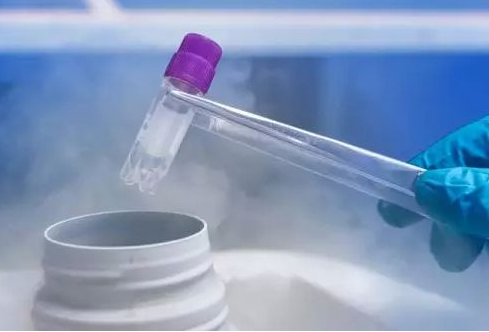 試管嬰兒怎么計算懷孕天數 試管嬰兒計算懷孕天數的方法