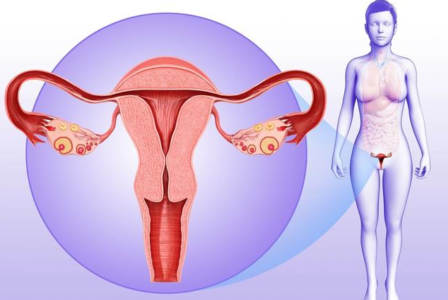女性子宮下垂有哪些危害 改善女性子宮下垂的方法