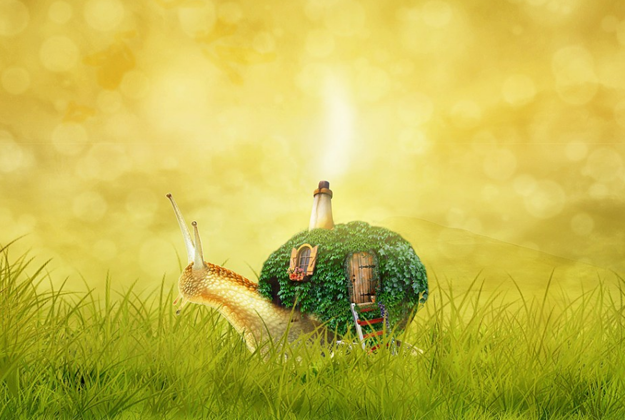 寶寶睡前故事 躲在彩虹帳篷里的蝸牛黑黑