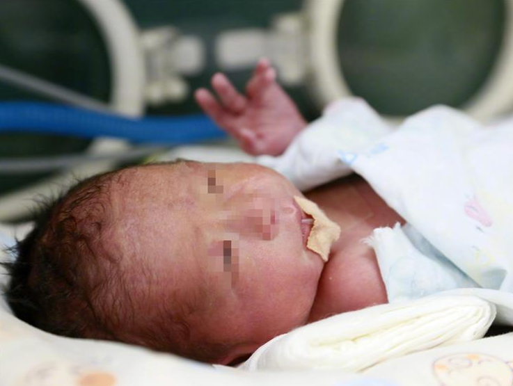 添宮寶寶是什么意思 添宮寶寶怪怪的