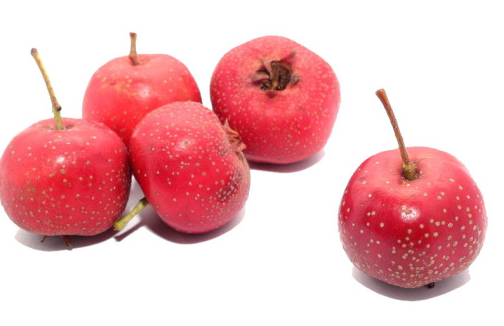 春節哪些食物最好不要給孩子吃 春節最好不要給孩子吃什么