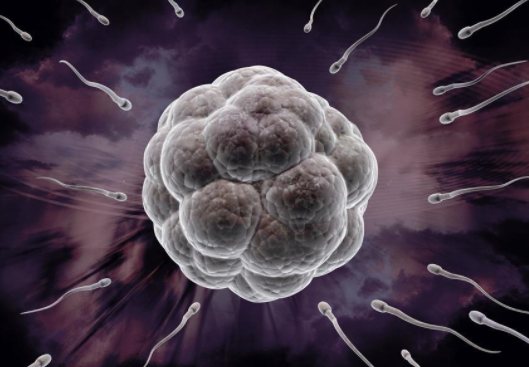 卵泡發育不良怎么治 卵泡發育不良治療方法