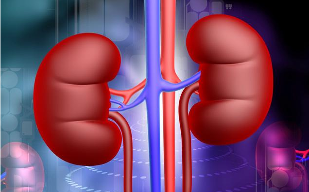 得了紅斑狼瘡可以懷孕嗎 紅斑狼瘡患者怎么備孕