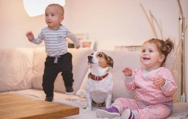 大寶對二寶的態度和什么有關 父母怎么平衡大寶和二寶之間的愛