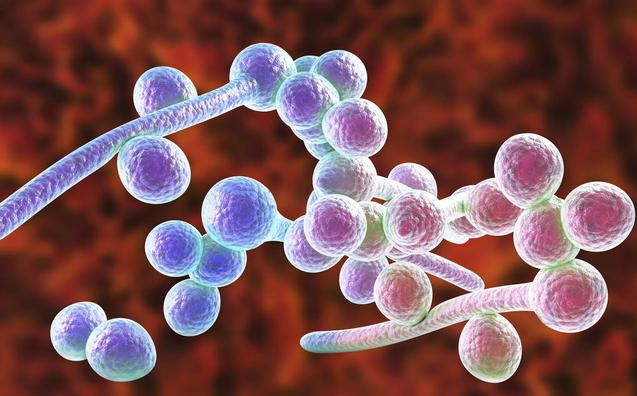 如何分辨奶垢和鵝口瘡 寶寶鵝口瘡的應對方法 如何分辨奶垢和鵝口瘡 寶寶鵝口瘡的應對方法