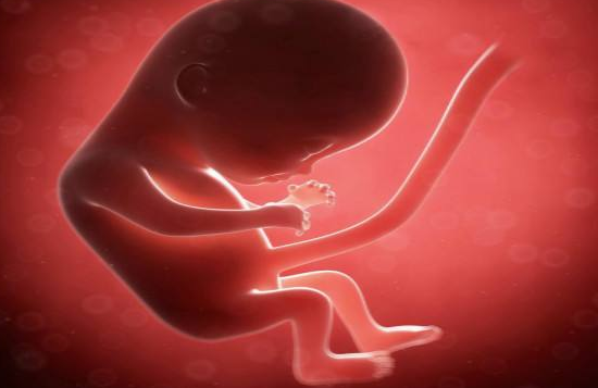 孕婦羊水偏少怎么補最快 羊水偏少補充方法