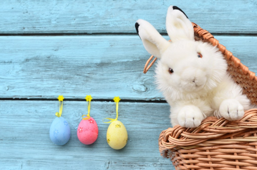 孩子睡前成長童話 狼和七只小兔子