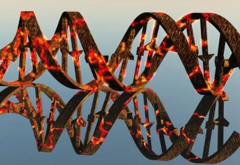 空囊是怎么造成的 懷孕空囊的原因 空囊是怎么造成的 懷孕空囊的原因