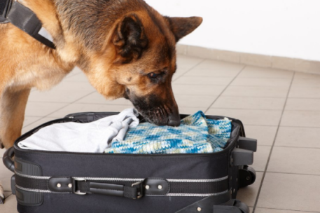 春節帶娃回家需要準備哪些東西 春運帶娃物品清單