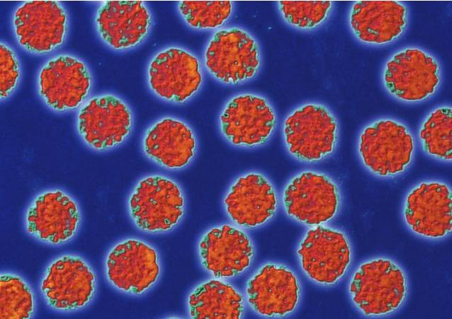 怎么區分寒咳和熱咳 風寒感冒和風熱感冒共存怎么辦 怎么區分寒咳和熱咳 風寒感冒和風熱感冒共存怎么辦