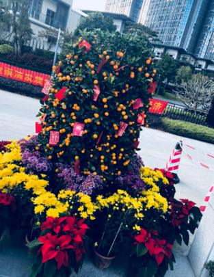 過年不回家心情說說 2019年春節不回家說說朋友圈