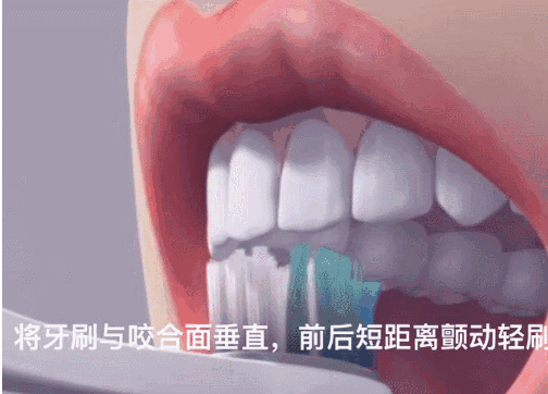 孩子怎么刷牙才干凈 寶寶不同年齡階段的刷牙方法 孩子怎么刷牙才干凈 寶寶不同年齡階段的刷牙方法