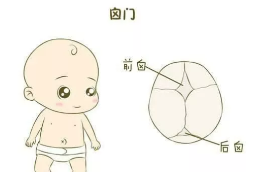 寶寶鹵門凹陷是怎么回事 鹵門凹陷是缺鈣嗎