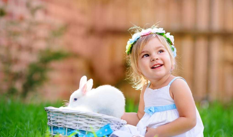 幼兒園質(zhì)量評估辦法 北京市幼兒園辦園質(zhì)量督導(dǎo)評估辦法內(nèi)容