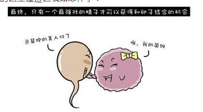 2019年1月5號行房受孕生男生女 農歷十一月三十懷孕生男孩還是女孩