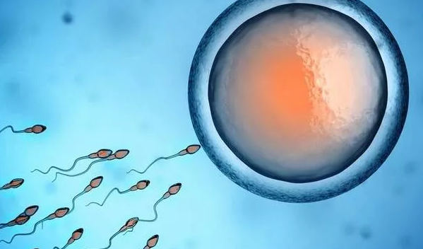 2019年1月7號行房受孕生男生女 農歷臘月初二懷孕生男孩還是女孩