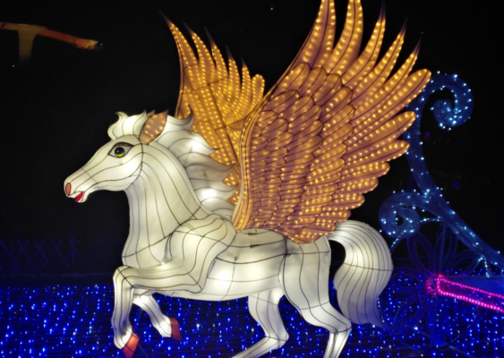 元宵節(jié)賞花燈說說怎么發(fā) 2019元宵節(jié)看花燈的心情感慨圖片