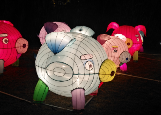 元宵節(jié)賞花燈說說怎么發(fā) 2019元宵節(jié)看花燈的心情感慨圖片