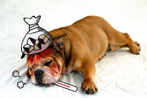 孩子發燒怎么正確測量孩子體溫 孩子發燒多少度算高燒