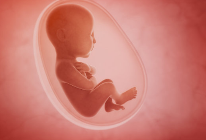 如何通過孕囊大小判斷懷孕多久 孕早期B超適合那種情況