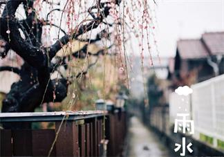 今日雨水朋友圈配圖 2019今日雨水說說心情短語祝福