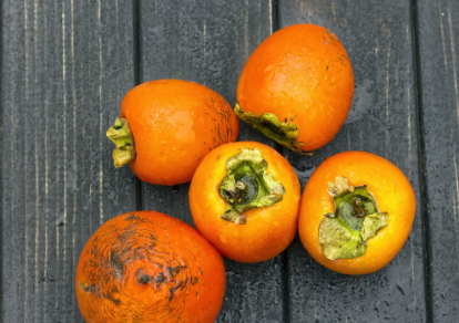 孩子空腹不能吃什么東西 什么食物孩子不能空腹吃