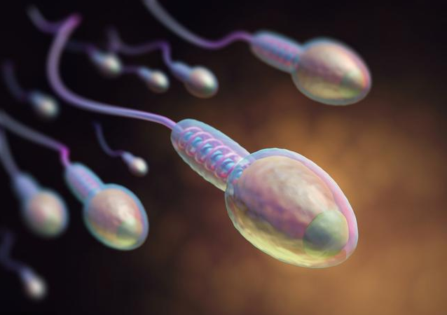 男性缺鋅有哪些癥狀 男性備孕補(bǔ)鋅吃什么藥好 男性缺鋅有哪些癥狀 男性備孕補(bǔ)鋅吃什么藥好