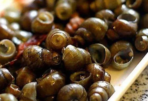 孩子濕氣重不能吃什么 濕氣重的忌口食物 孩子濕氣重不能吃什么 濕氣重的忌口食物