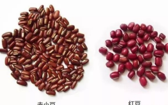 小兒祛濕喝什么湯好 小兒祛濕湯做法步驟