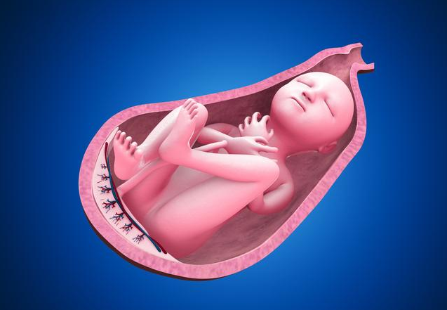 女性為什么容易宮外孕 女性宮外孕概率有多大 女性為什么容易宮外孕 女性宮外孕概率有多大