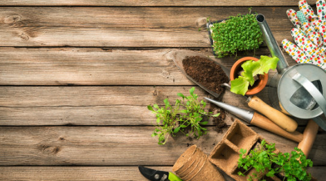 關于春天的古詩詞 春季古詩詞大全 關于春天的古詩詞 春季古詩詞大全