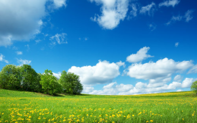 關于春天的古詩詞 春季古詩詞大全 關于春天的古詩詞 春季古詩詞大全