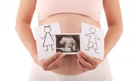 2019年2月1號行房受孕生男生女 農(nóng)歷臘月二十七懷孕生男孩還是女孩