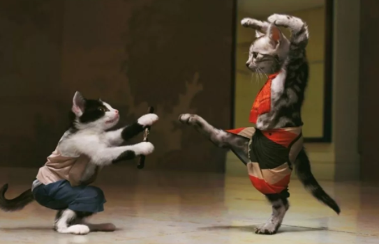 孩子學跆拳道有什么好處 練跆拳道的好處