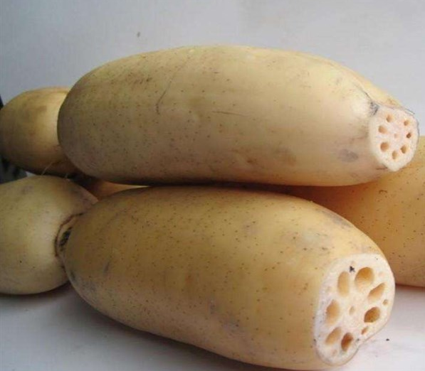 女性春季如何養生 女性春季養生重點