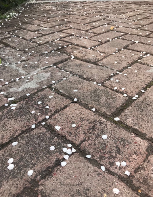 下雨早安說說怎么發 下雨早安帶字圖片 下雨早安說說怎么發 下雨早安帶字圖片