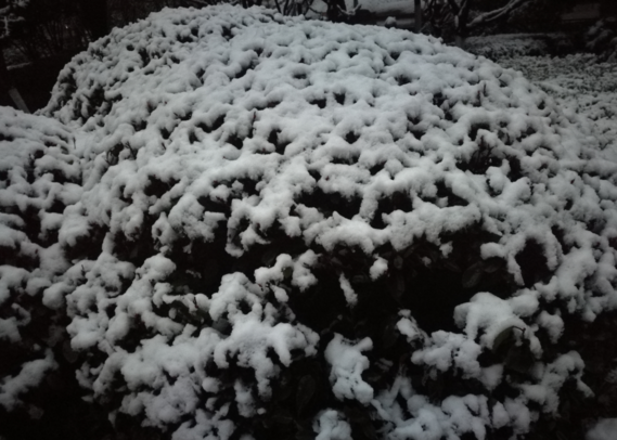 下雨早安說說怎么發 下雨早安帶字圖片 下雨早安說說怎么發 下雨早安帶字圖片