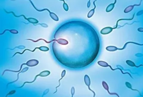 封閉抗體檢查哪些項目 封閉抗體檢查流程有哪些