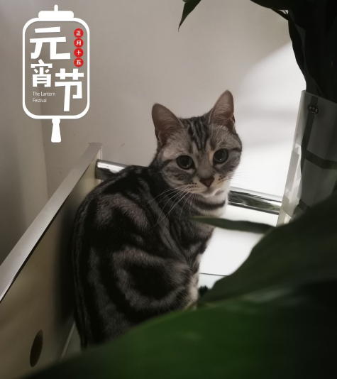 寶寶上學的說說心情 送孩子去學校上學怎么發說說朋友圈