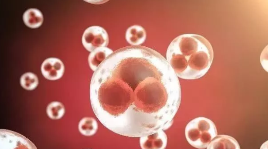 2019年2月11日受孕生男生女 農歷正月初七懷孕生男孩還是女孩