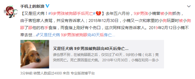 9歲男童被狗舔手后死亡是真的嗎 被狗舔也會得狂犬病嗎 9歲男童被狗舔手后死亡是真的嗎 被狗舔也會得狂犬病嗎