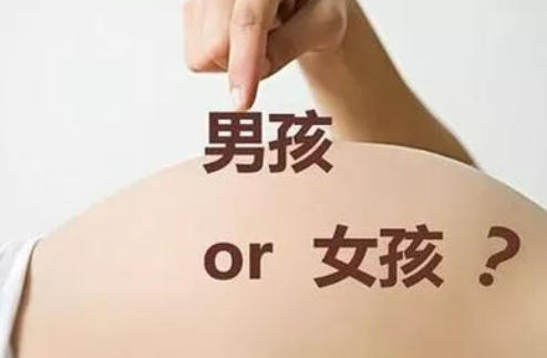 2019年2月12日受孕生男生女 農(nóng)歷正月初八懷孕生男孩還是女孩