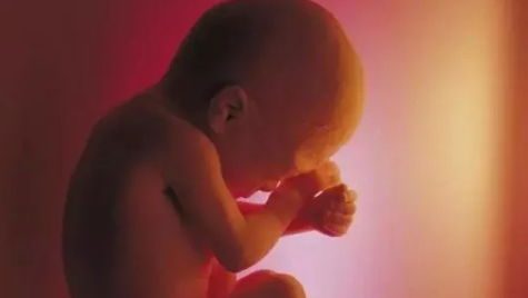 2019年2月13日受孕生男生女 農歷正月初九懷孕生男孩還是女孩