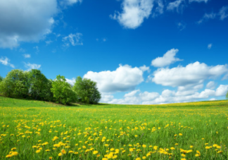 作文春天來(lái)了的短句 春天來(lái)了的句子集錦