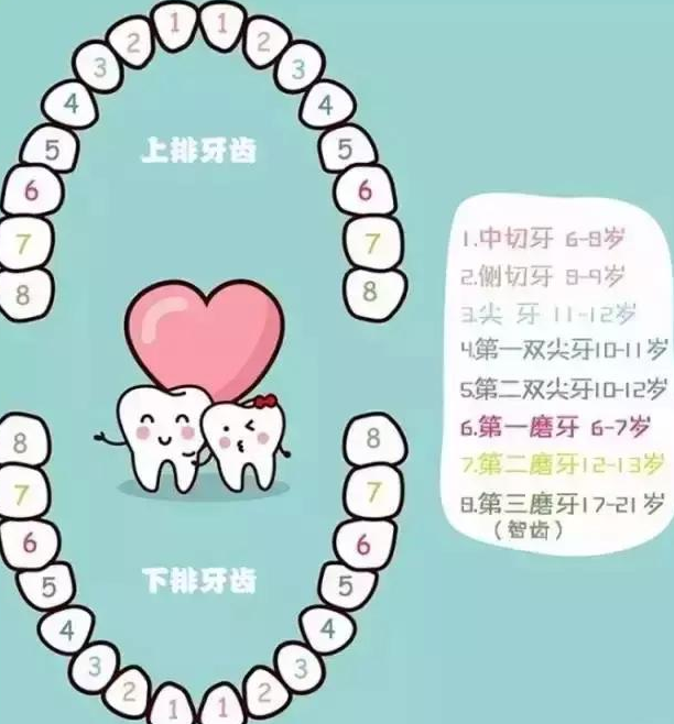 寶寶換牙時間表2019 兒童換牙時間順序 寶寶換牙時間表2019 兒童換牙時間順序