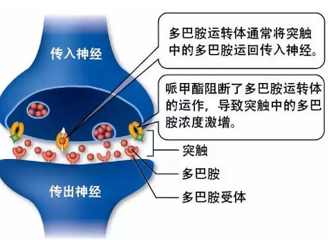 聰明藥利他林是什么 聰明藥利他林副作用
